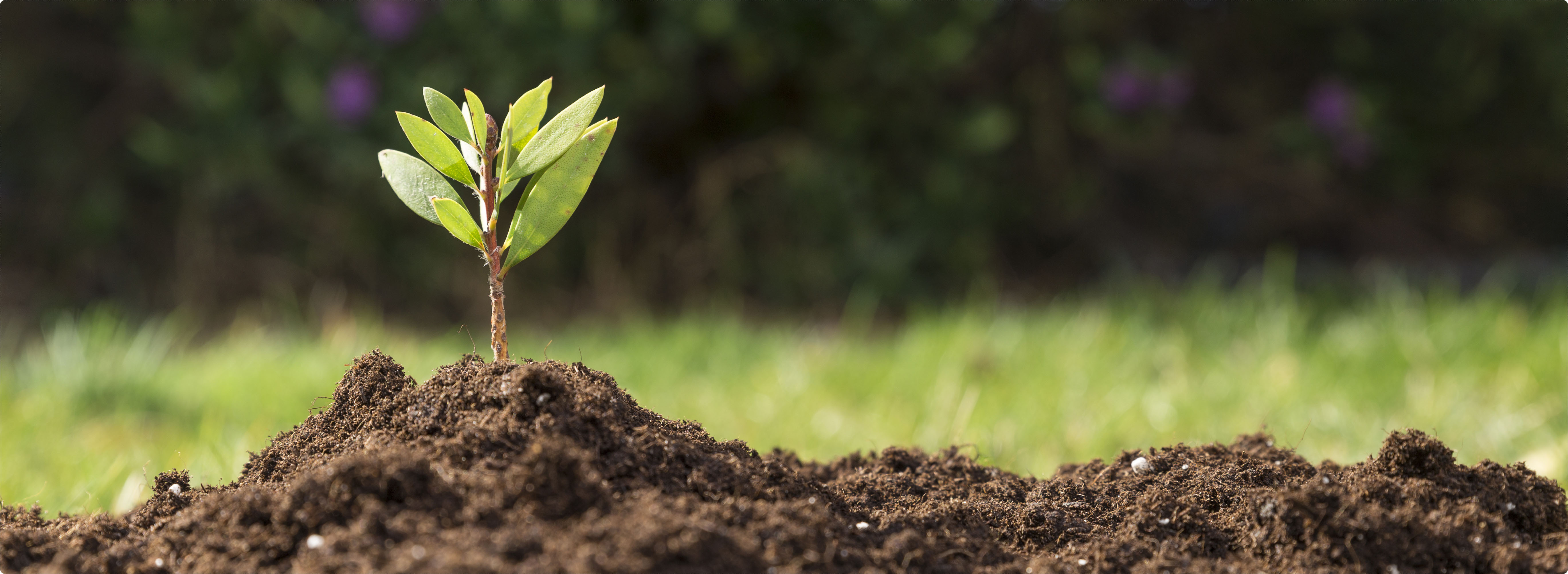 Responsabilidade socioambiental da FAATESP